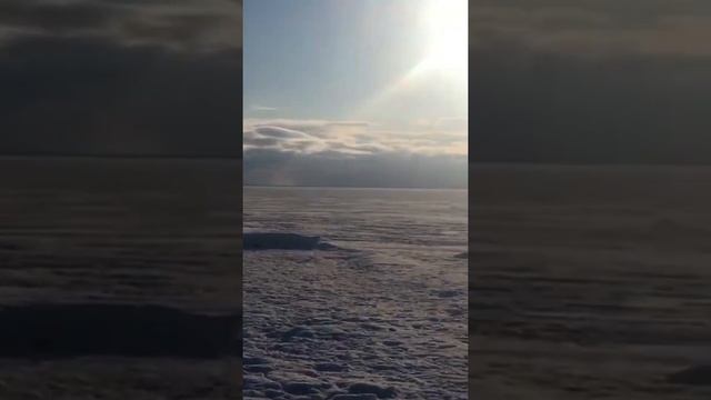 Остров Ягры. Северодвинск. Панорама зимнего пляжа. #shorts смотреть онлайн