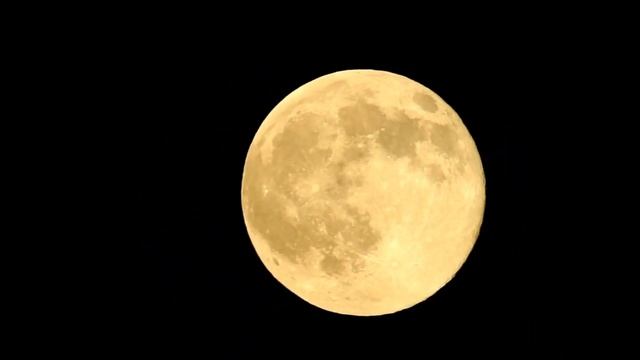 Full Moon..By Nikon Coolpix P900 #nikoncoolpix смотреть онлайн