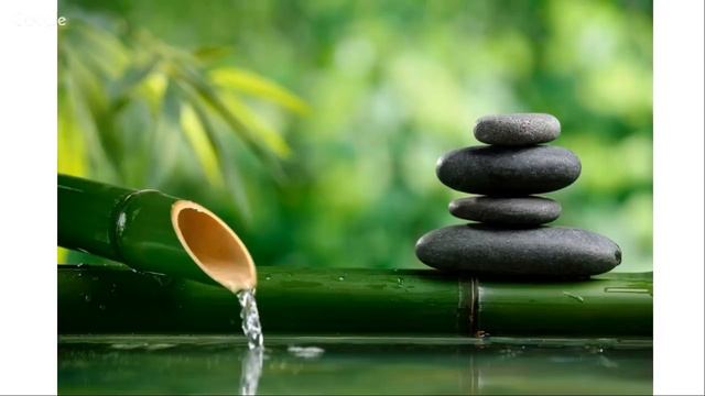 Путешествие внутрь себя. Медитативный курс Н. Пейчева 1 занятие смотреть онлайн