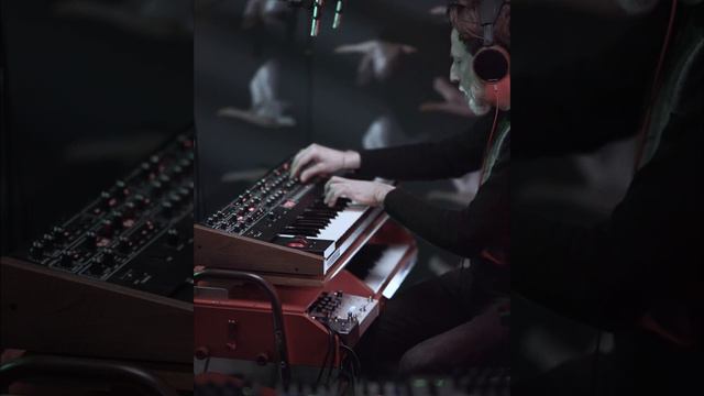 I'm a Glock. ] Sonor & Schimmel Keyboard Celesta/Glockenspiel, Prophet-6, Empress & Microcosm [ смотреть онлайн