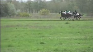 скачка 6 скачки в ростовской области, региональные скачки, орловский район, лошади 2013