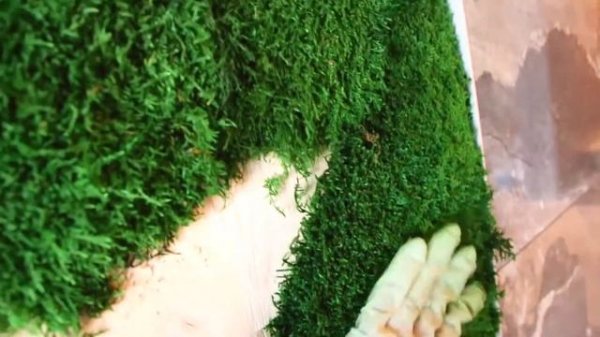 Вертикальное озеленение, фитостена | мастер-класс | GARDEN BOOM