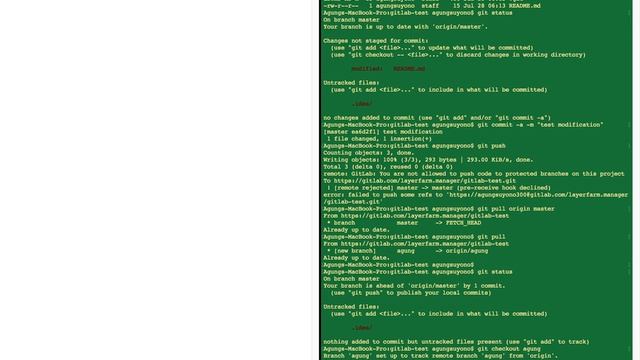 Branching Gitlab Workflow смотреть онлайн