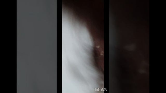 Мила Милк играет с волосами, едем на дачу 2 ролик чуть позже смотреть онлайн