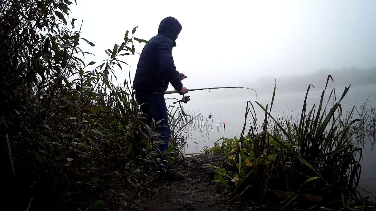 Фидер в октябре.Ловля огромной Плотвы. Хорошая осеняя рыбалка смотреть онлайн