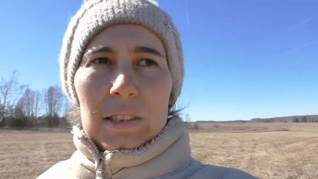 Сказка про Лягушку Царевну и ее глубокий смысл смотреть онлайн