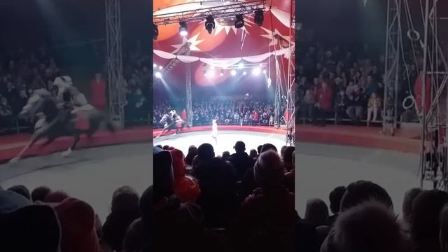 Цырк у Дмитрове смотреть онлайн