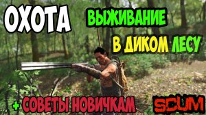 ВЫЖИВАНИЕ В ДИКОМ ЛЕСУ С ЭЛЕМЕНТАМИ ОХОТЫ В SCUM.  #scum #скам #выживание #охота