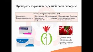 33.2. Нестероидные гормоны (препараты гормонов гипоталамуса, гипофиза, эпифиза)