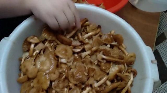 Осенние Осетинские Опята!!! смотреть онлайн