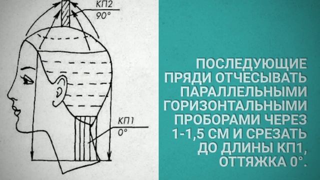 Женская стрижка "Диана": схема стрижки смотреть онлайн