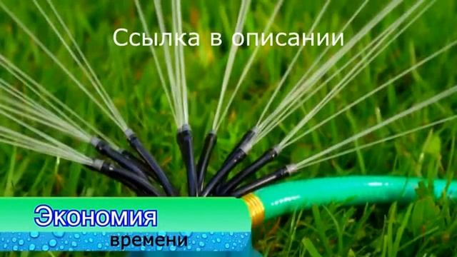 Автоматические системы поливы растений купить смотреть онлайн