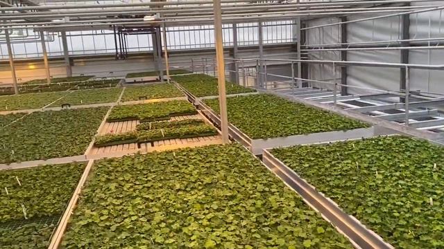 🔩 Teknik # 2 💡 HAAKs produktion🌺⚙️ смотреть онлайн