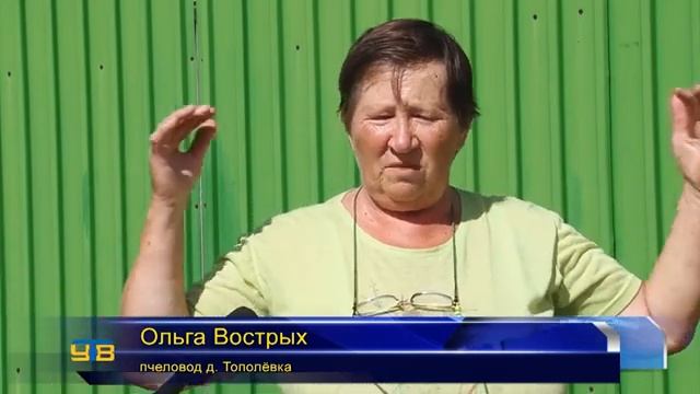 Бортничество любимое занятие Нижнеманайцев смотреть онлайн