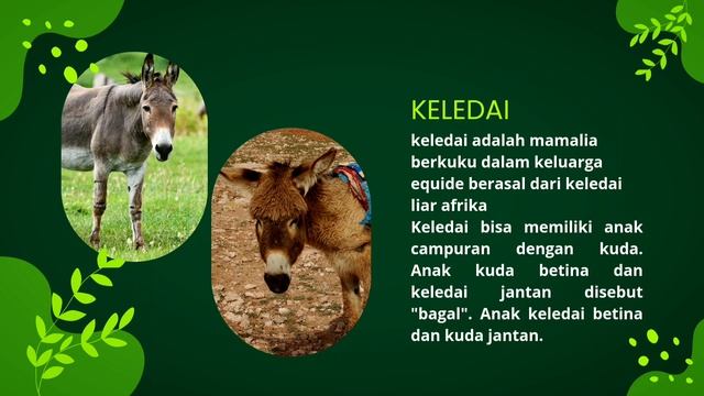 TIK BELAJAR IPA DENGAN CANVA SDN TEGALSARI 03 AMBULU смотреть онлайн