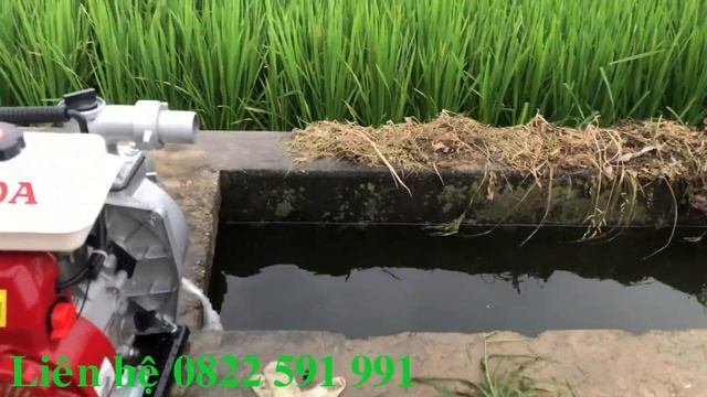 Thử máy bơm nước chạy xăng HONDA GX100 ống 40 tăng áp siêu mạnh смотреть онлайн