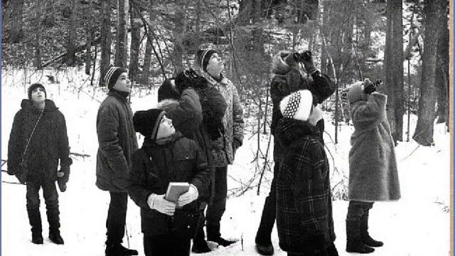 Николай Сладков смотреть онлайн