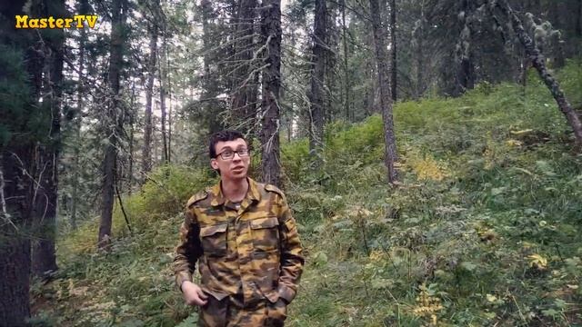 ЗА ШИШКОЙ В СКАЗОЧНУЮ ТАЙГУ АЛТАЯ! ИЛИ КАК ЗАРАБАТЫВАЮТ НА ШИШКЕ! смотреть онлайн