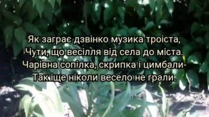 Весілля в Карпатах  Віктор Павлік