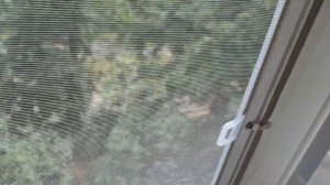 Как закрутить шуруп если сорвана резьба на пластиковом окне?