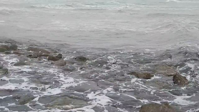 China Port Karachi view point смотреть онлайн