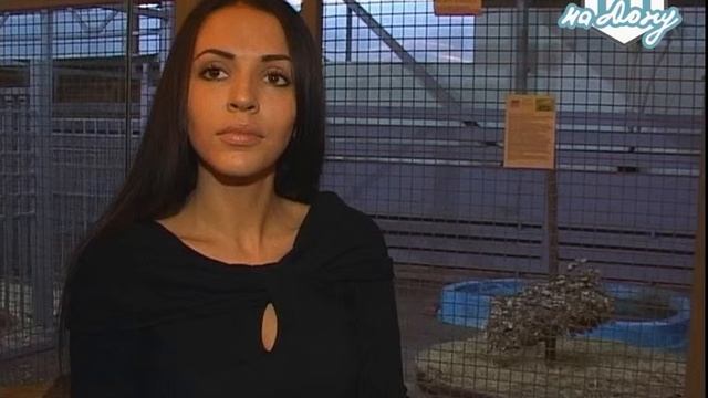 пресс-секретарь зоопарка Валерия Латанова смотреть онлайн