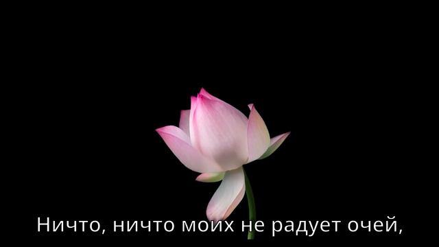 Стихотворение "Пускай увенчанный любовью красоты" - А.С.Пушкин читает Рея Машкова смотреть онлайн