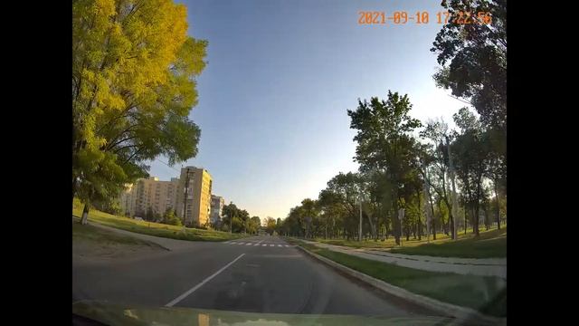 Человек собаке друг...или ПДД для всех смотреть онлайн