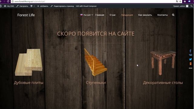 Polylang переводчик смотреть онлайн