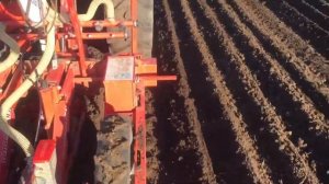 Морковь ранняя. сажаем вакуумной сеялкой Гаспардо.