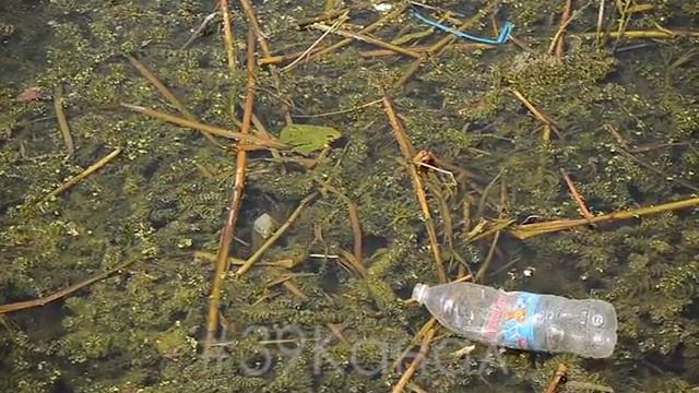 В Анапе начали расчистку русла городской реки смотреть онлайн