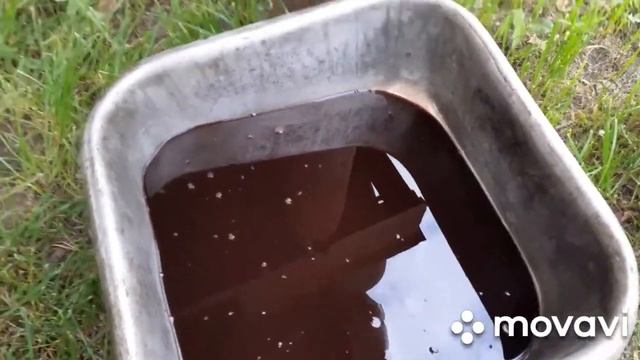 Алексей Ольгин