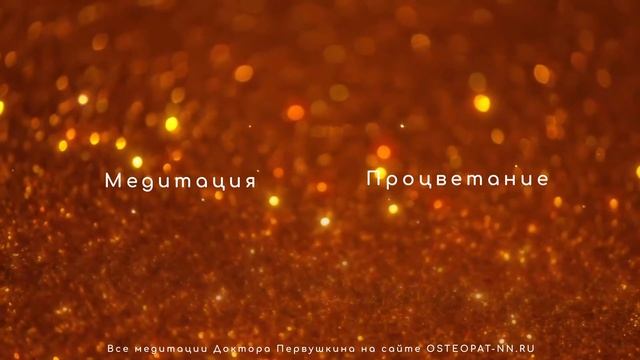 Медитация Процветание с Доктором Первушкиным смотреть онлайн