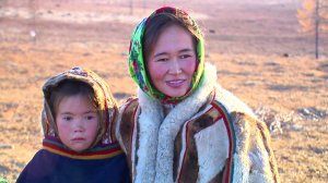 Ненцы, тундра... Стойбище оленеводов