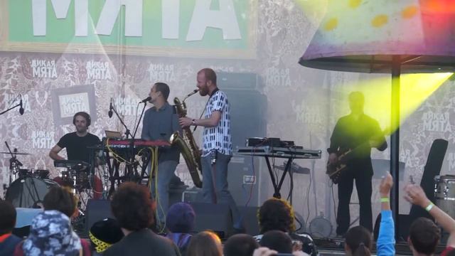 Tinavie - One Day (Live @ Дикая мята 2014) смотреть онлайн