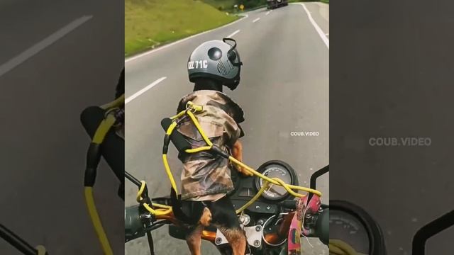 Призрачный гонщик ? смотреть онлайн