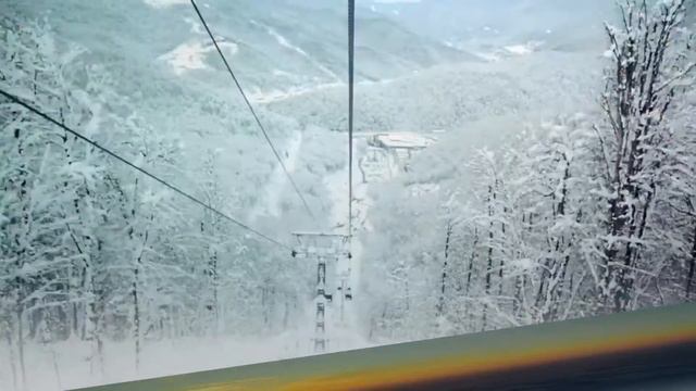 КРАСНЫЕ НЕЗАБУДКИ смотреть онлайн