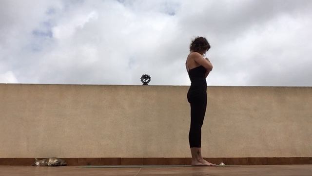 Surya Namaskar - Saludo al Sol con sus Mantras - Hatha Vinyasa, Bhakti y Raja Yoga смотреть онлайн