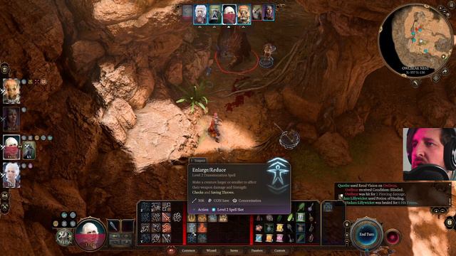 07 | Baldur's Gate 3 | Gnome Wizard | Owlbears and the Moon Witch смотреть онлайн
