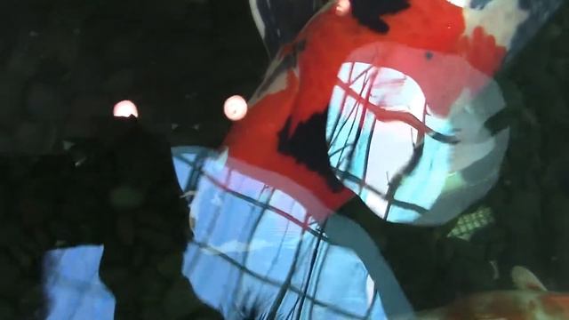 Шопинг в SPICE.RIGA.Хотела СВИНКУ купить.