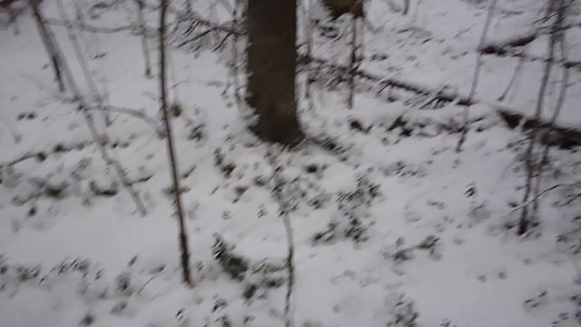 Прогулка в зимний лес. смотреть онлайн