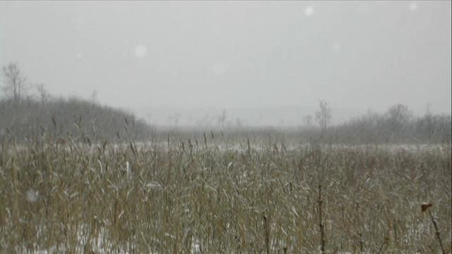 Иеромонах Роман. «А первый снег, а первый снег потает…» смотреть онлайн