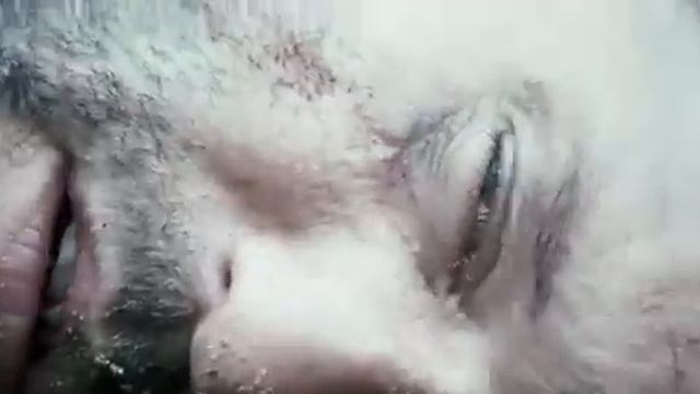 Presenting Hollywood Movie In English (English Movies, Hollywood Movies, Action Movies, English смотреть онлайн