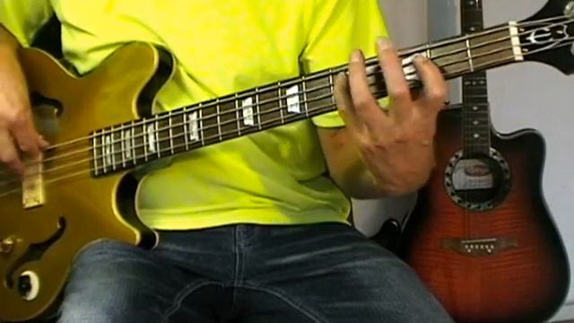 Gotye - Somebody That I Used To Know - Bass Cover смотреть онлайн