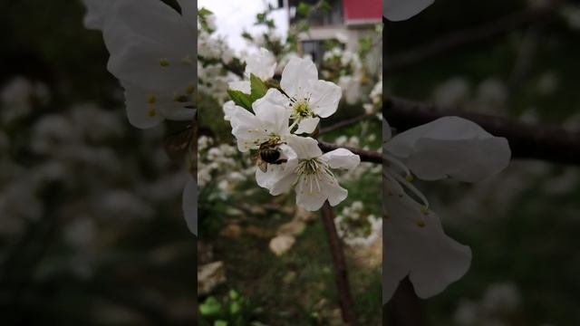 Весна в Анапе 18.04.2022