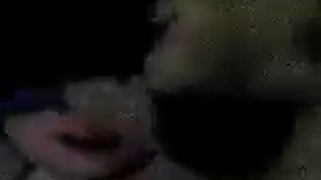 Опасный мопс 2 смотреть онлайн