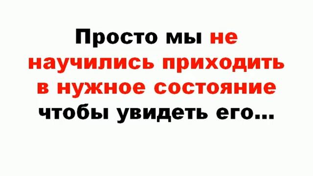 светозвуковая машина 