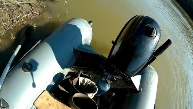 Жор хищника на лягушку.Выезд 02.08.17. смотреть онлайн