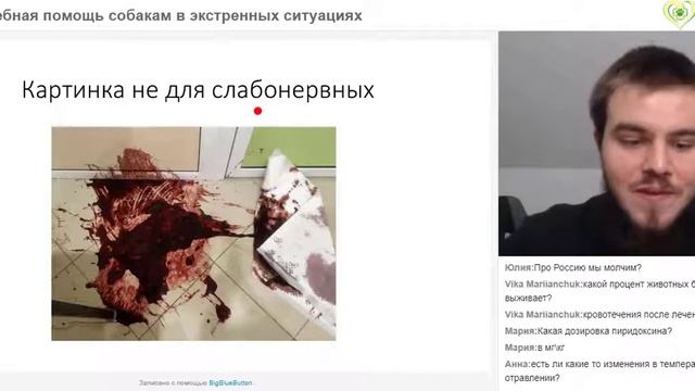 Высокая температура у собаки.Доврачебная помощь собакам в экстренных ситуациях. Вебинар.