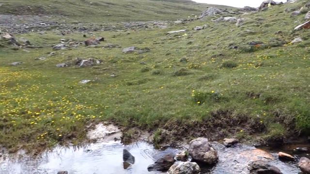 Горные цветы Амнье Мачен смотреть онлайн